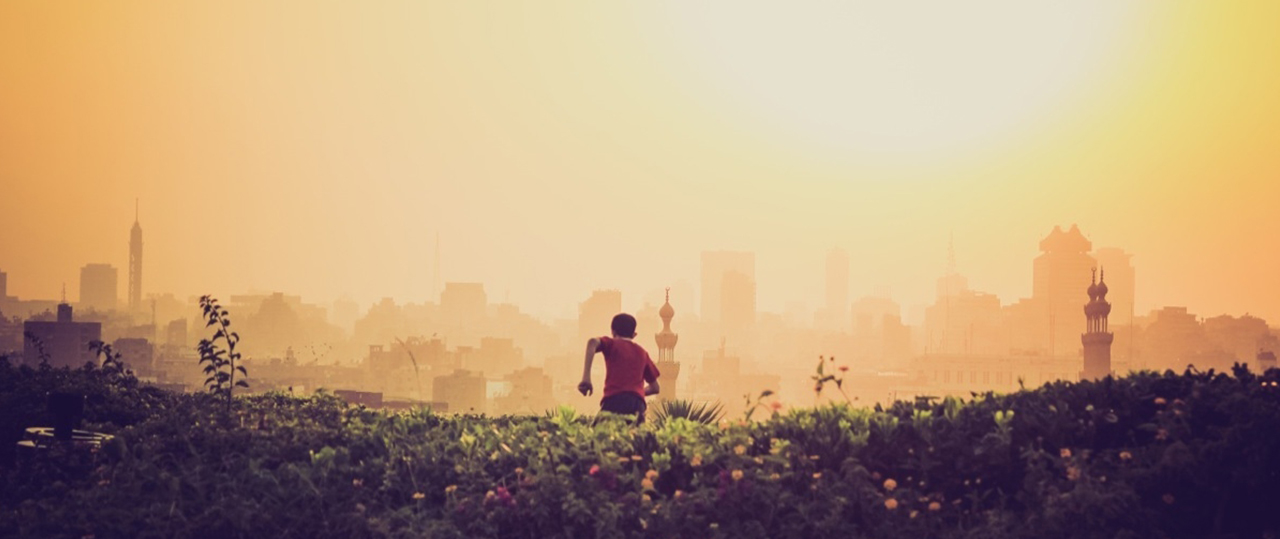 呼死你软件短信