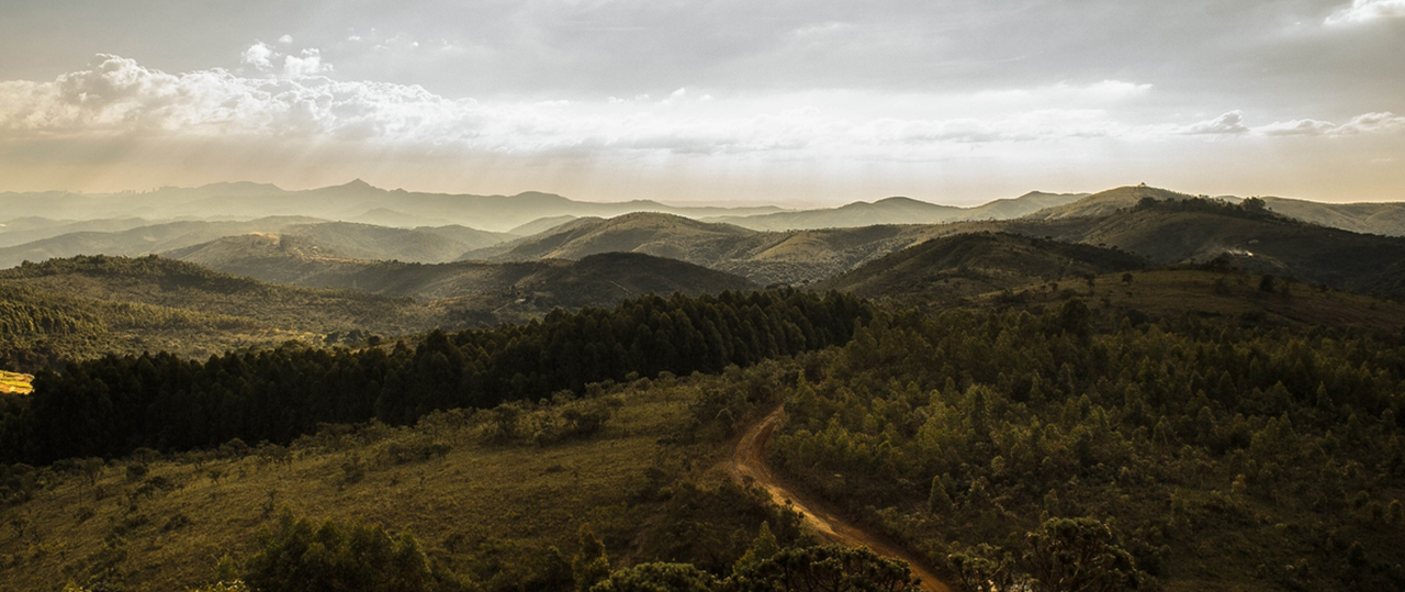 无限发短信验证码软件