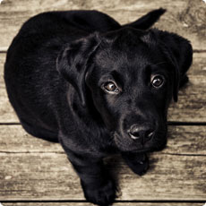 激活商店安全的手机号轰在线轰炸免费下载