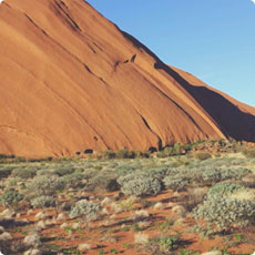 求一个靠谱的免费24小时不停呼叫软件下载