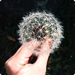 找个靠谱代理的无限呼叫别人电话的软件